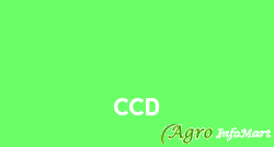 CCD