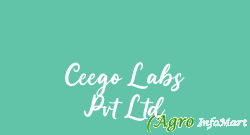 Ceego Labs Pvt Ltd chennai india