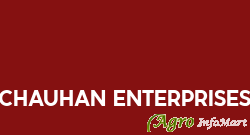 Chauhan Enterprises