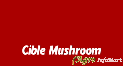 Cible Mushroom