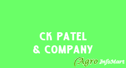 CK Patel & Company