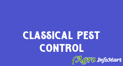 Classical Pest Control chennai india