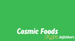 Cosmic Foods