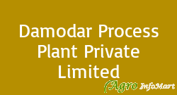 Damodar Process Plant Private Limited