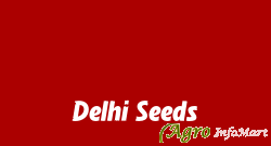 Delhi Seeds