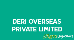 Deri Overseas Private Limited rajkot india