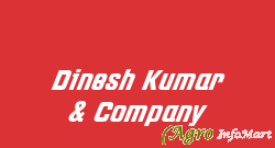 Dinesh Kumar & Company