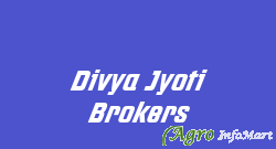Divya Jyoti Brokers