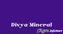 Divya Mineral bhavnagar india