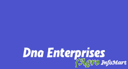 Dna Enterprises