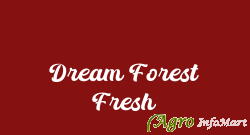 Dream Forest Fresh