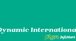 Dynamic International rajkot india