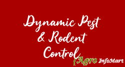 Dynamic Pest & Rodent Control