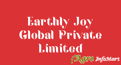 Earthly Joy Global Private Limited