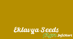 Eklavya Seeds