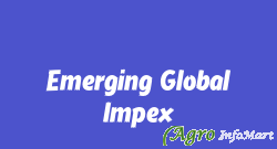 Emerging Global Impex