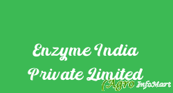 Enzyme India Private Limited chennai india