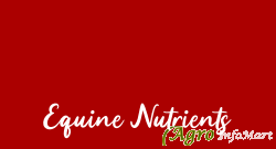 Equine Nutrients