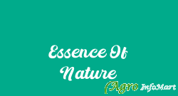 Essence Of Nature