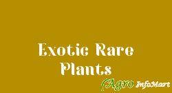 Exotic Rare Plants