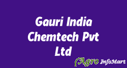 Gauri India Chemtech Pvt Ltd