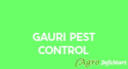 Gauri Pest Control pune india