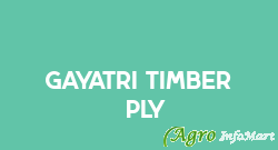 Gayatri Timber & Ply