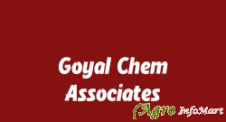 Goyal Chem Associates delhi india