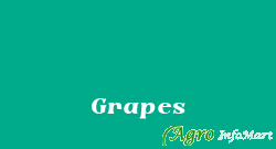 Grapes