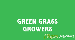 Green Grass Growers