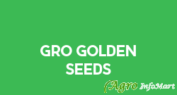 GRO GOLDEN SEEDS jaipur india