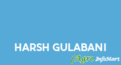 Harsh Gulabani