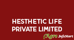 Hesthetic Life Private Limited