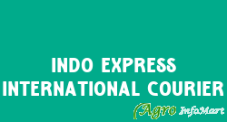 Indo Express International Courier ahmedabad india