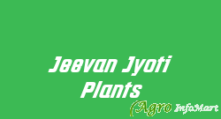 Jeevan Jyoti Plants  