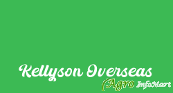 Kellyson Overseas ahmedabad india