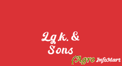 L.g.k. & Sons jaipur india