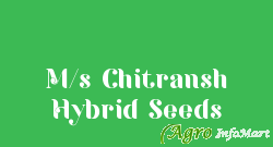 M/s Chitransh Hybrid Seeds lucknow india