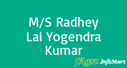 M/S Radhey Lal Yogendra Kumar amroha india