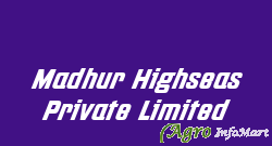 Madhur Highseas Private Limited