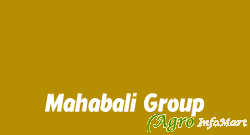 Mahabali Group kanpur india