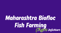 Maharashtra Biofloc Fish Farming nashik india