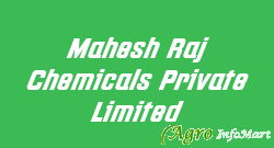 Mahesh Raj Chemicals Private Limited ahmedabad india