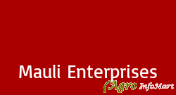 Mauli Enterprises mumbai india