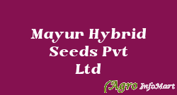 Mayur Hybrid Seeds Pvt Ltd