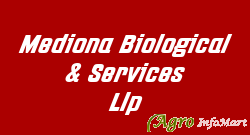 Mediona Biological & Services Llp
