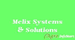 Melix Systems & Solutions