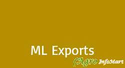 ML Exports ahmedabad india