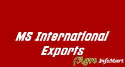 MS International Exports chennai india