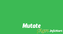 Mutate